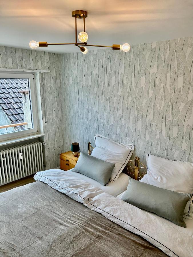 Relaxstay - Balkon - Smart-Tv - Wifi Dielheim Екстер'єр фото